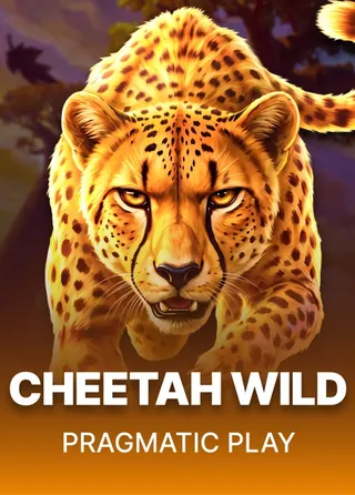 Cheetah Wild